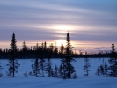 Day 34 029_.jpg